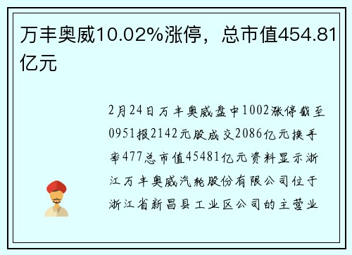 万丰奥威10.02%涨停，总市值454.81亿元