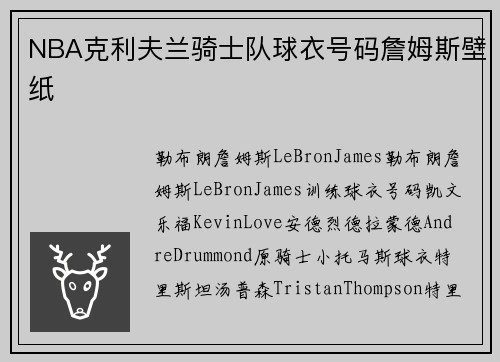 NBA克利夫兰骑士队球衣号码詹姆斯壁纸
